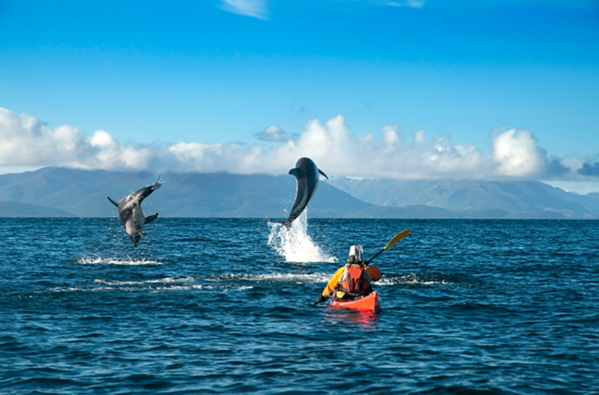  Kayak por el Estrecho de Magallanes